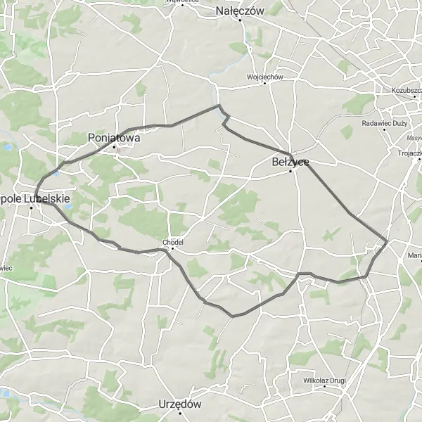 Map miniature of "Discover Niedrzwica Kościelna" cycling inspiration in Lubelskie, Poland. Generated by Tarmacs.app cycling route planner