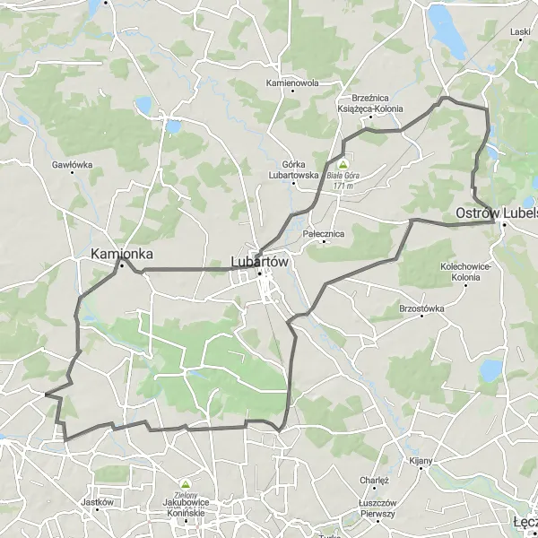 Map miniature of "Around Lubartów" cycling inspiration in Lubelskie, Poland. Generated by Tarmacs.app cycling route planner