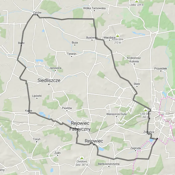 Map miniature of "Chojeniec Discovery" cycling inspiration in Lubelskie, Poland. Generated by Tarmacs.app cycling route planner