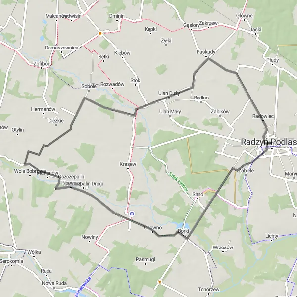 Map miniature of "The Podlaskie Loop" cycling inspiration in Lubelskie, Poland. Generated by Tarmacs.app cycling route planner