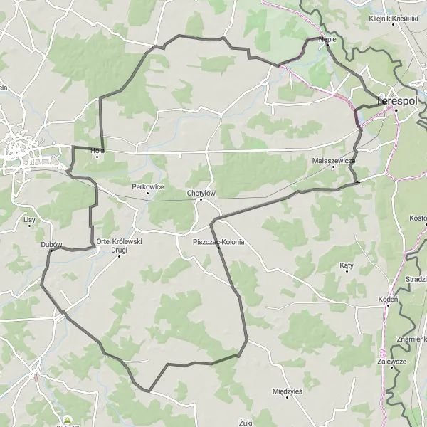 Map miniature of "The Scenic Road Adventure" cycling inspiration in Lubelskie, Poland. Generated by Tarmacs.app cycling route planner