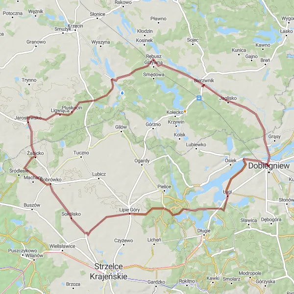 Map miniature of "The Hidden Gem Gravel Loop" cycling inspiration in Lubuskie, Poland. Generated by Tarmacs.app cycling route planner