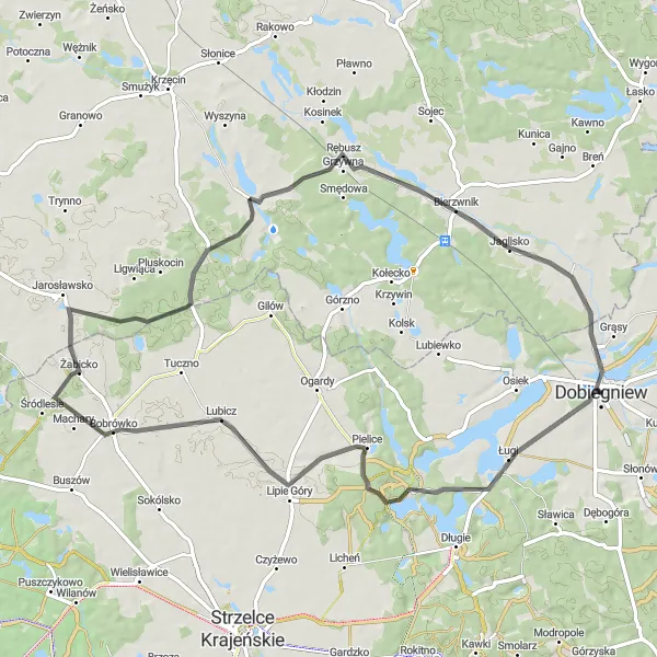 Map miniature of "Lubuskie Loop" cycling inspiration in Lubuskie, Poland. Generated by Tarmacs.app cycling route planner