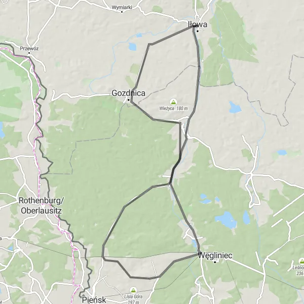 Map miniature of "Forest Delight" cycling inspiration in Lubuskie, Poland. Generated by Tarmacs.app cycling route planner