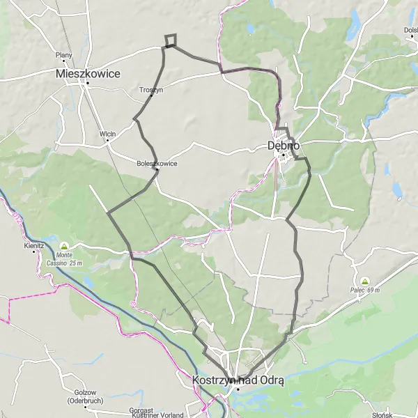 Map miniature of "Exploring the Countryside of Lubuskie" cycling inspiration in Lubuskie, Poland. Generated by Tarmacs.app cycling route planner