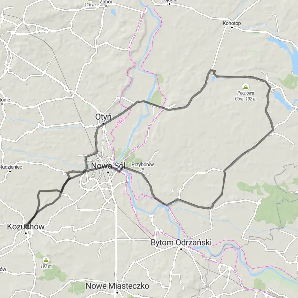 Map miniature of "Countryside Charm" cycling inspiration in Lubuskie, Poland. Generated by Tarmacs.app cycling route planner