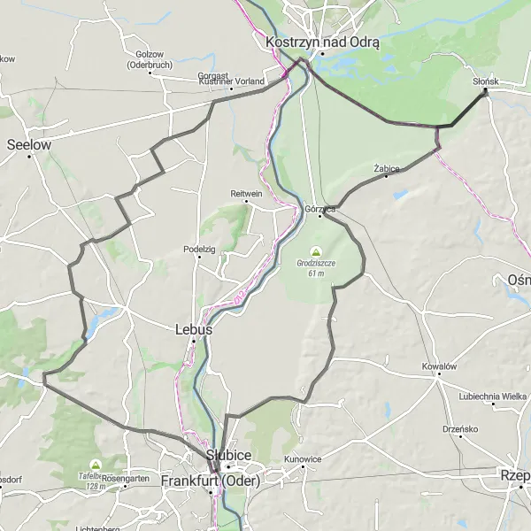 Map miniature of "Around Słońsk - Road Cycling Route" cycling inspiration in Lubuskie, Poland. Generated by Tarmacs.app cycling route planner