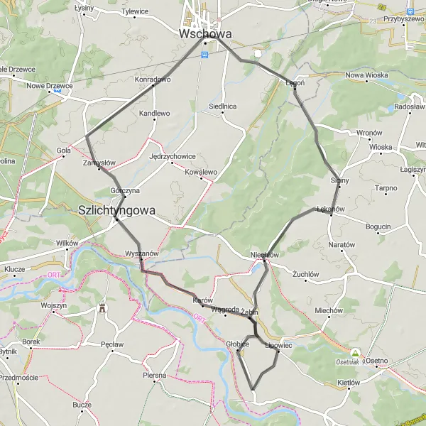 Map miniature of "Siciny and Szlichtyngowa Ride" cycling inspiration in Lubuskie, Poland. Generated by Tarmacs.app cycling route planner