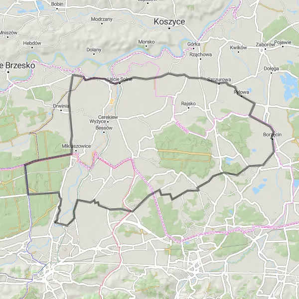 Map miniature of "Krzyżanowice Loop" cycling inspiration in Małopolskie, Poland. Generated by Tarmacs.app cycling route planner