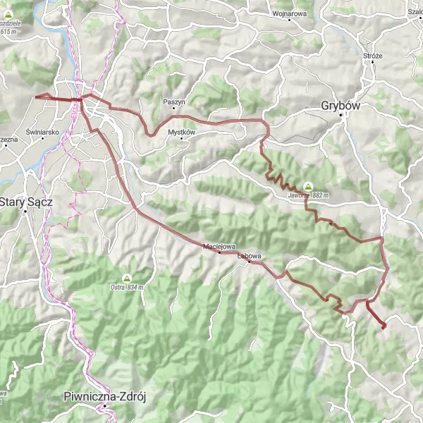 Map miniature of "Gravel Serenity in Polany" cycling inspiration in Małopolskie, Poland. Generated by Tarmacs.app cycling route planner