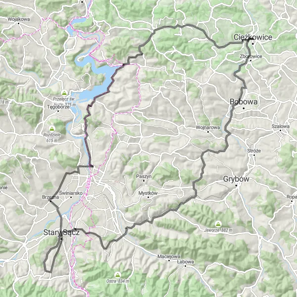 Map miniature of "Królowa Polska Adventure" cycling inspiration in Małopolskie, Poland. Generated by Tarmacs.app cycling route planner