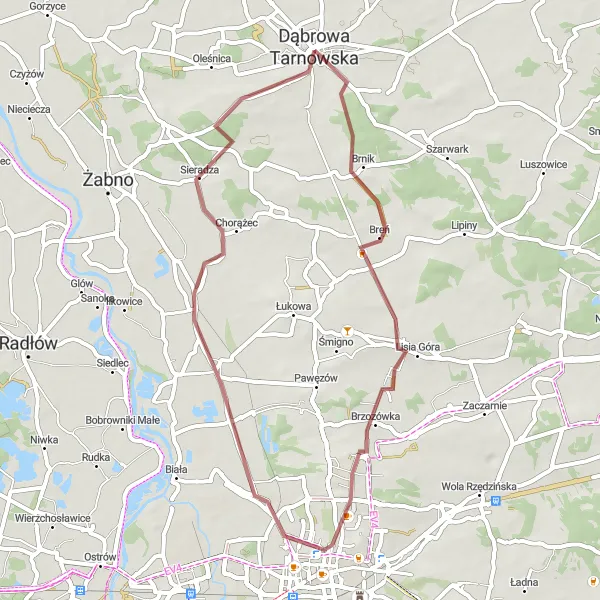 Map miniature of "Tarnowska Forest Loop" cycling inspiration in Małopolskie, Poland. Generated by Tarmacs.app cycling route planner
