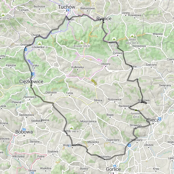 Map miniature of "Gromnik - Babia Góra - Chojnik - Ryglice - Wielka Góra - Ołpiny - Świnia Góra - Grzywa - Staszkówka - Gromnik (Road)" cycling inspiration in Małopolskie, Poland. Generated by Tarmacs.app cycling route planner