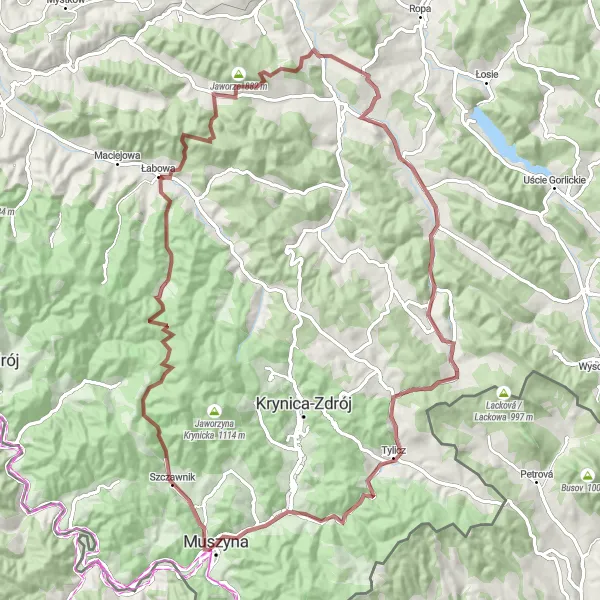 Map miniature of "Muszyna-Koziejówka Roundtrip" cycling inspiration in Małopolskie, Poland. Generated by Tarmacs.app cycling route planner