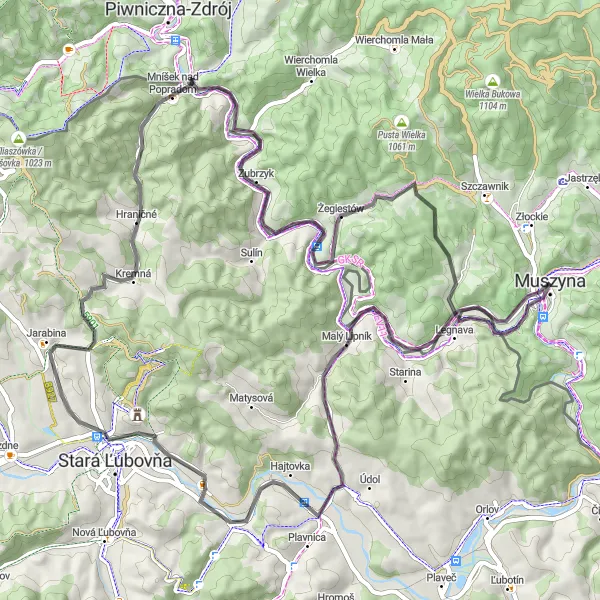 Map miniature of "Muszyna-Sołtysia Góra Roundtrip" cycling inspiration in Małopolskie, Poland. Generated by Tarmacs.app cycling route planner