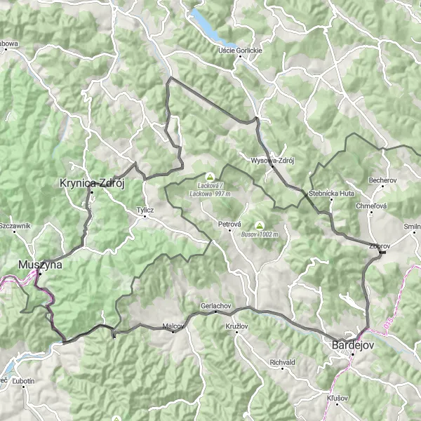 Map miniature of "Road cycling adventure near Muszyna" cycling inspiration in Małopolskie, Poland. Generated by Tarmacs.app cycling route planner