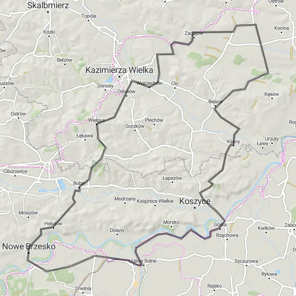 Map miniature of "The Wojciechów Adventure" cycling inspiration in Małopolskie, Poland. Generated by Tarmacs.app cycling route planner