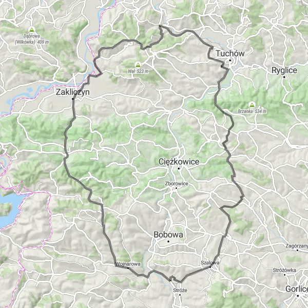 Map miniature of "Beskid Przemyski Loop" cycling inspiration in Małopolskie, Poland. Generated by Tarmacs.app cycling route planner