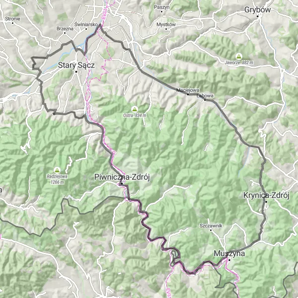 Map miniature of "Panoramic Małopolskie Route" cycling inspiration in Małopolskie, Poland. Generated by Tarmacs.app cycling route planner