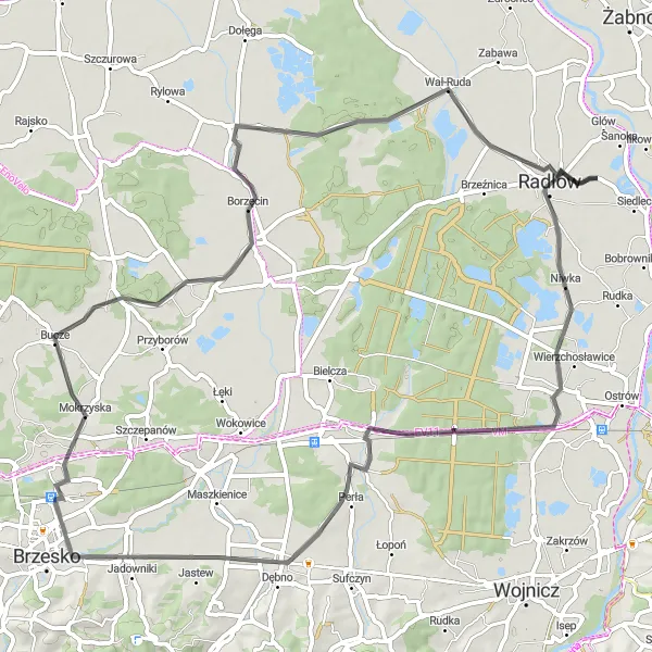 Map miniature of "Radłów - Niwka - Biadoliny Szlacheckie - Mokrzyska - Borzęcin (road)" cycling inspiration in Małopolskie, Poland. Generated by Tarmacs.app cycling route planner