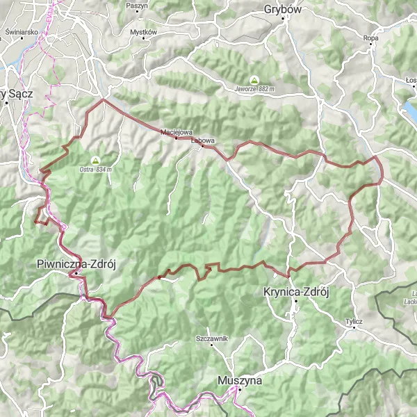 Map miniature of "Ryterskie Gravel Excursion" cycling inspiration in Małopolskie, Poland. Generated by Tarmacs.app cycling route planner