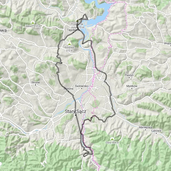 Map miniature of "Rytro and its surroundings" cycling inspiration in Małopolskie, Poland. Generated by Tarmacs.app cycling route planner