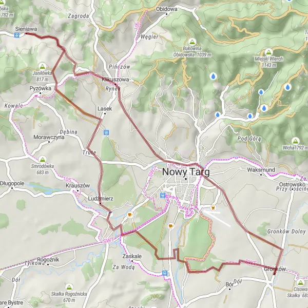 Map miniature of "Przełęcz Sieniawska and Koci Zamek Gravel Adventure" cycling inspiration in Małopolskie, Poland. Generated by Tarmacs.app cycling route planner