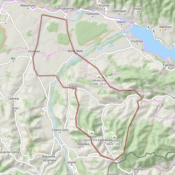 Map miniature of "Discover the Wild Side" cycling inspiration in Małopolskie, Poland. Generated by Tarmacs.app cycling route planner