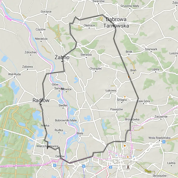 Map miniature of "Tarnovian Hills and Countryside" cycling inspiration in Małopolskie, Poland. Generated by Tarmacs.app cycling route planner
