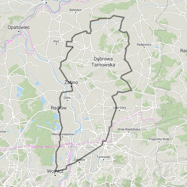 Map miniature of "The Tarnów Loop" cycling inspiration in Małopolskie, Poland. Generated by Tarmacs.app cycling route planner