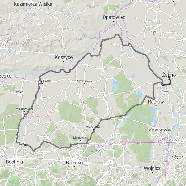 Map miniature of "Żabno - Wietrzychowice" cycling inspiration in Małopolskie, Poland. Generated by Tarmacs.app cycling route planner