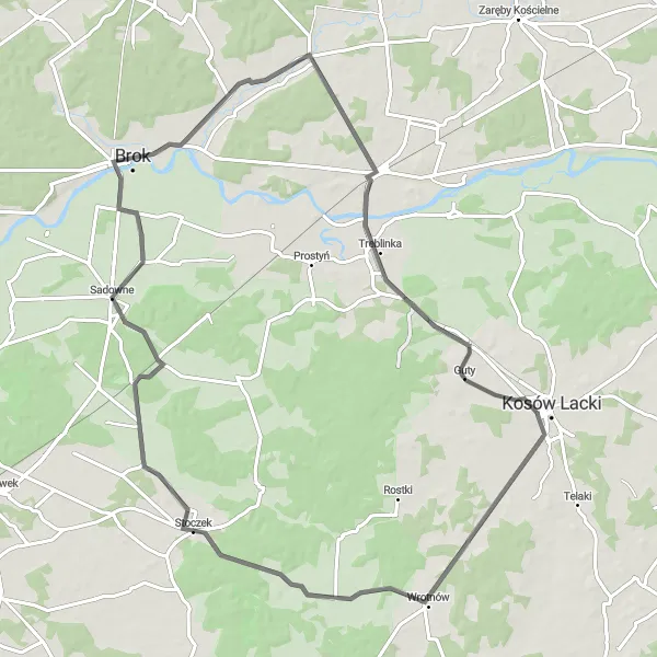 Map miniature of "Międzyleś Loop" cycling inspiration in Mazowiecki regionalny, Poland. Generated by Tarmacs.app cycling route planner