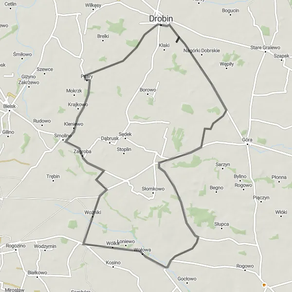 Map miniature of "Woźniki and Zagroba Loop" cycling inspiration in Mazowiecki regionalny, Poland. Generated by Tarmacs.app cycling route planner