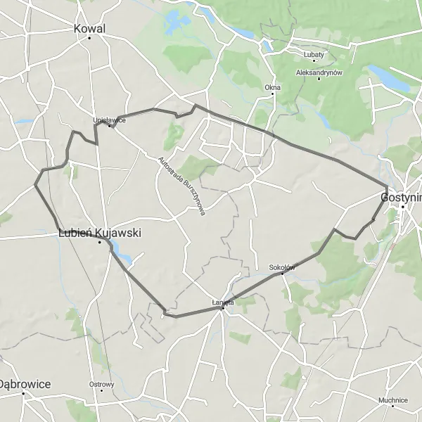 Miniatura mapy "Trasa Szosowa do Zamku Gostynińskiego" - trasy rowerowej w Mazowiecki regionalny, Poland. Wygenerowane przez planer tras rowerowych Tarmacs.app