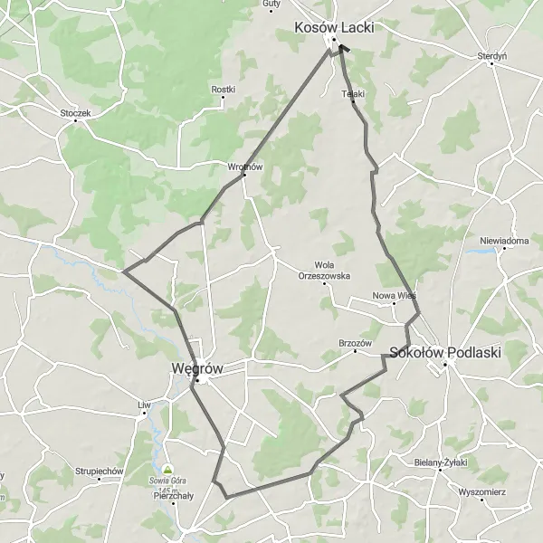 Map miniature of "Scenic Road Cycling through Skibniew-Podawce and Ludwinów" cycling inspiration in Mazowiecki regionalny, Poland. Generated by Tarmacs.app cycling route planner