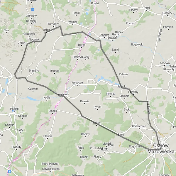 Map miniature of "The Goworowo Circuit" cycling inspiration in Mazowiecki regionalny, Poland. Generated by Tarmacs.app cycling route planner