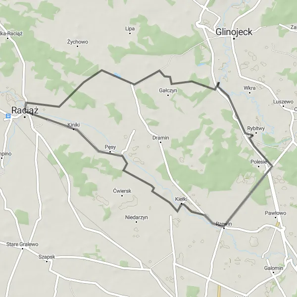 Map miniature of "The Raciąż Loop" cycling inspiration in Mazowiecki regionalny, Poland. Generated by Tarmacs.app cycling route planner
