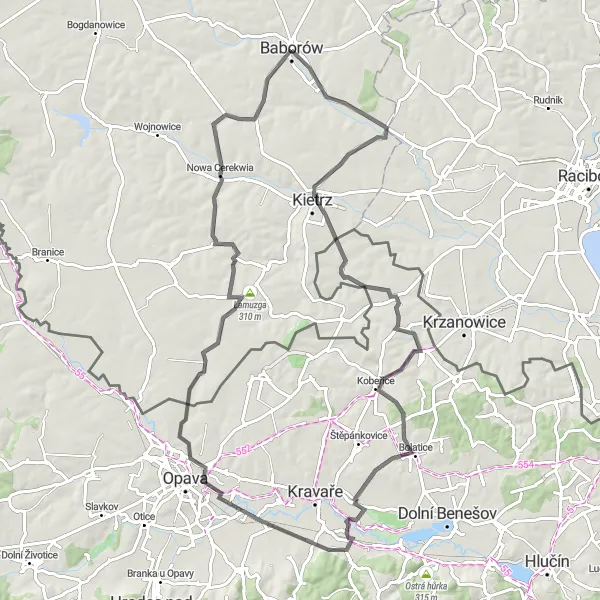 Map miniature of "Raków Loop" cycling inspiration in Opolskie, Poland. Generated by Tarmacs.app cycling route planner