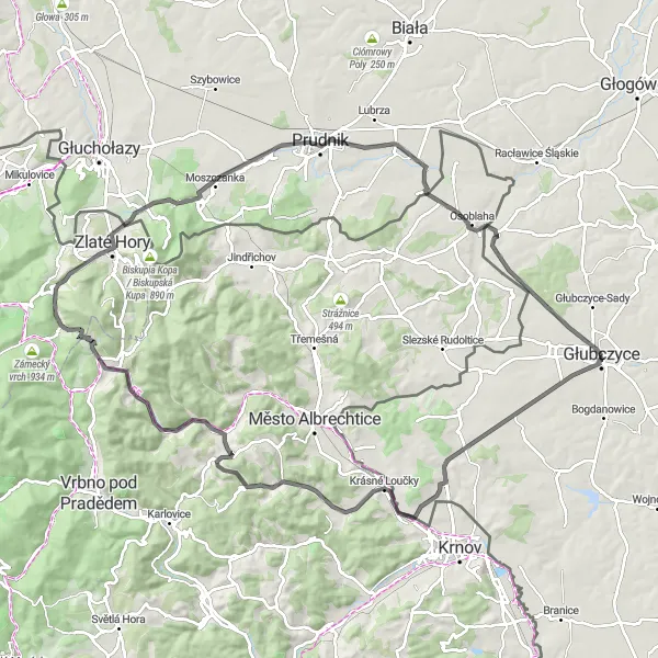 Map miniature of "Discover the hidden gems" cycling inspiration in Opolskie, Poland. Generated by Tarmacs.app cycling route planner