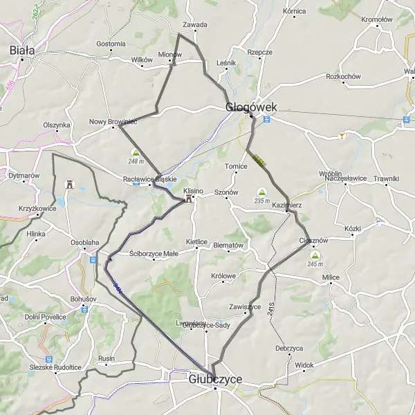 Map miniature of "Journey through the countryside" cycling inspiration in Opolskie, Poland. Generated by Tarmacs.app cycling route planner