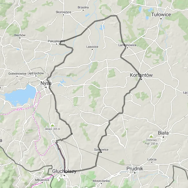 Map miniature of "Bodzanów - Hajduki Nyskie - Wieża Ziębicka - Prusinowice - Sidzina - Rączka - Ścinawa Mała - Mieszkowice - Głuchołazy Loop" cycling inspiration in Opolskie, Poland. Generated by Tarmacs.app cycling route planner