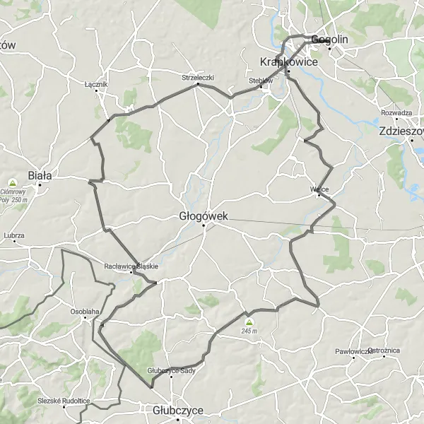 Map miniature of "Otmęt Loop" cycling inspiration in Opolskie, Poland. Generated by Tarmacs.app cycling route planner