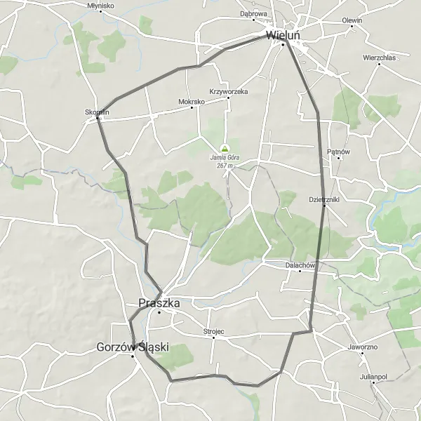 Map miniature of "The Praszka Loop" cycling inspiration in Opolskie, Poland. Generated by Tarmacs.app cycling route planner