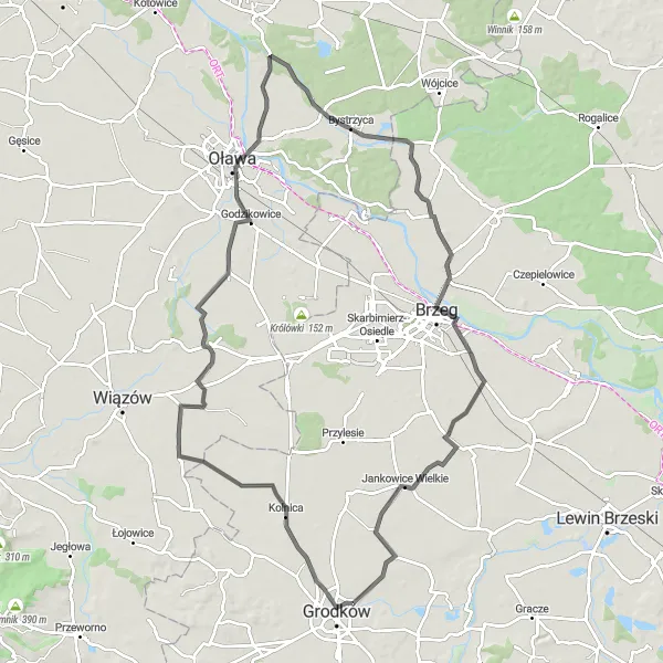 Map miniature of "Kolnica Circuit" cycling inspiration in Opolskie, Poland. Generated by Tarmacs.app cycling route planner