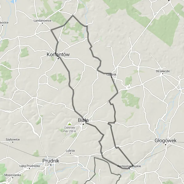 Miniatura mapy "Trasa Łambinowice: Borek: Korfantów" - trasy rowerowej w Opolskie, Poland. Wygenerowane przez planer tras rowerowych Tarmacs.app