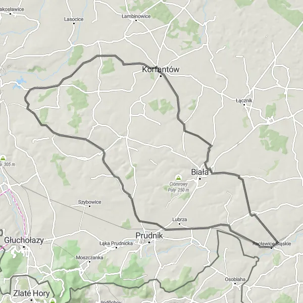 Map miniature of "Exploring the Countryside" cycling inspiration in Opolskie, Poland. Generated by Tarmacs.app cycling route planner