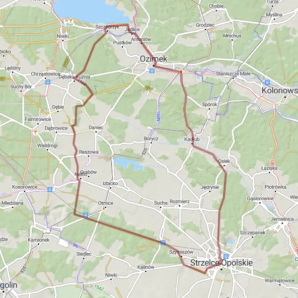 Map miniature of "Stunning Gravel Adventure through Rożniątów and Kadłub" cycling inspiration in Opolskie, Poland. Generated by Tarmacs.app cycling route planner