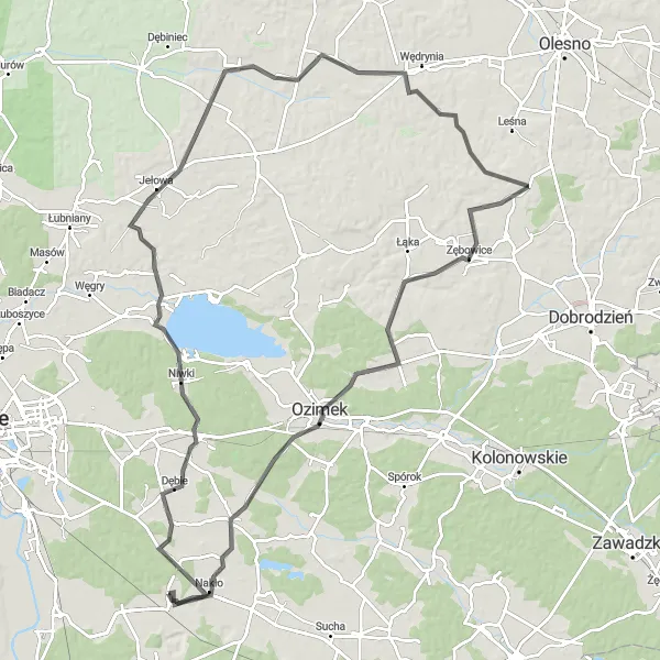 Map miniature of "Niwki Loop" cycling inspiration in Opolskie, Poland. Generated by Tarmacs.app cycling route planner