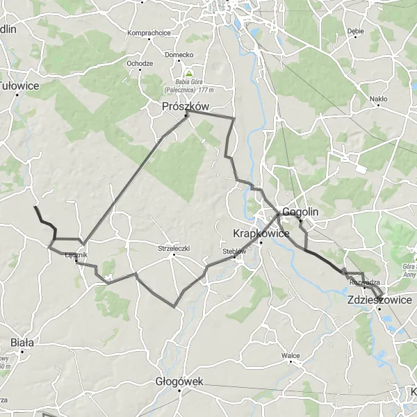 Map miniature of "Moszna Castle Loop" cycling inspiration in Opolskie, Poland. Generated by Tarmacs.app cycling route planner