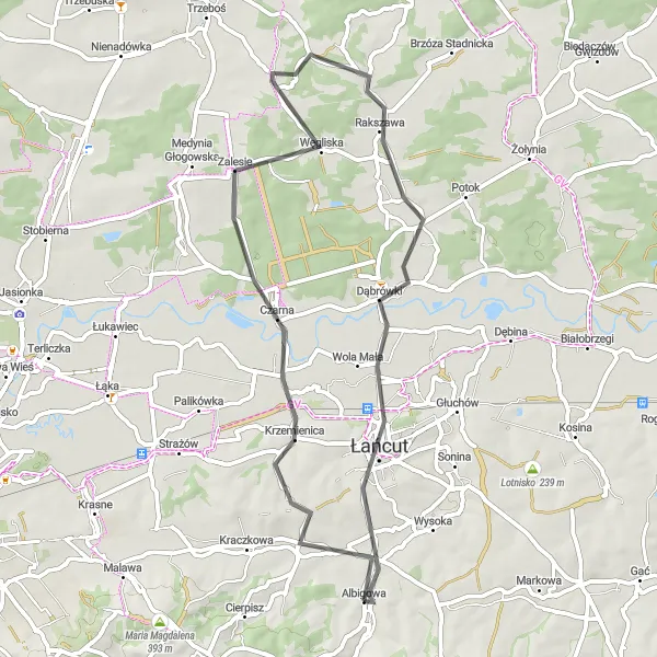 Map miniature of "Albigowa Countryside Loop" cycling inspiration in Podkarpackie, Poland. Generated by Tarmacs.app cycling route planner